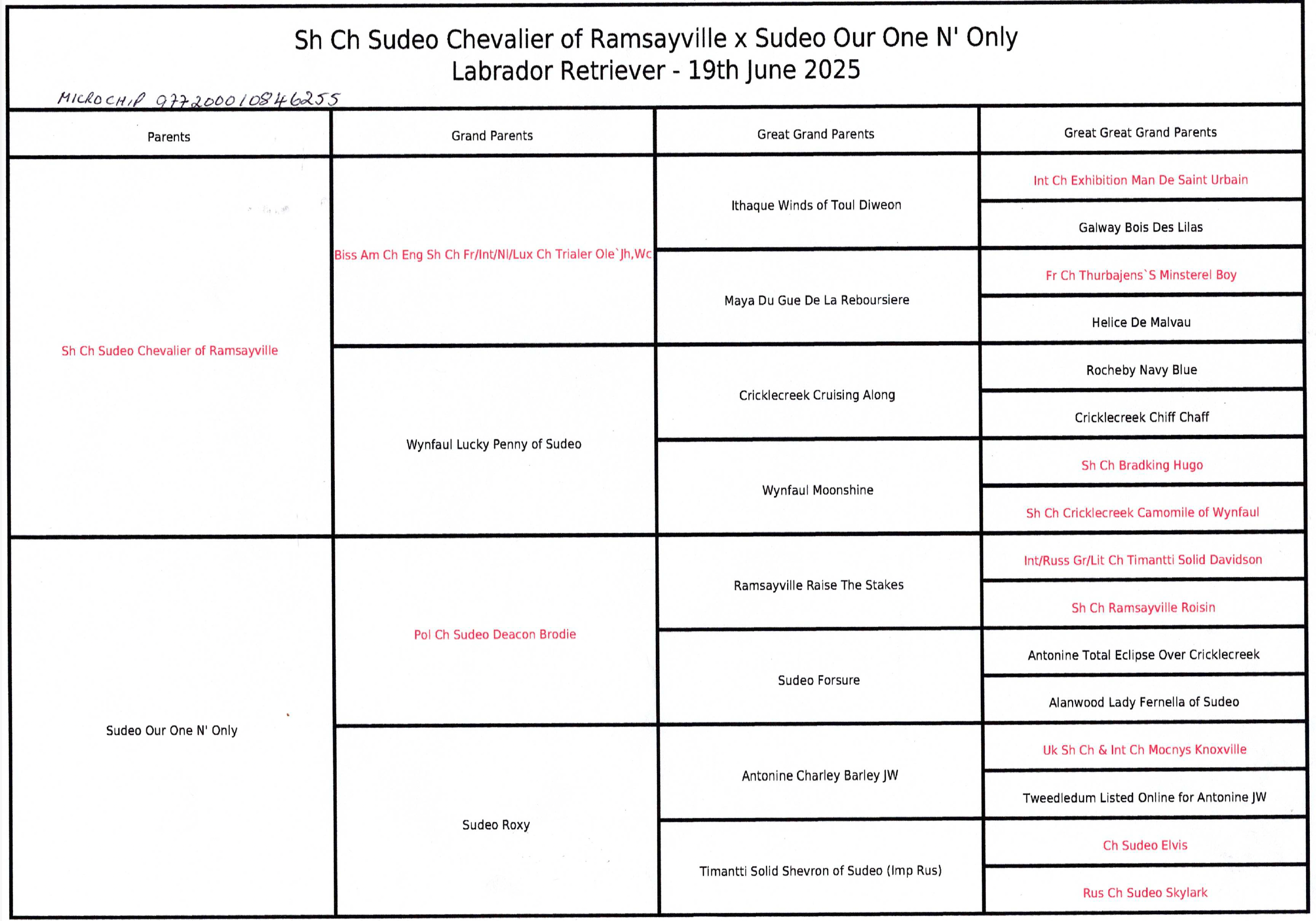Pedigree, Lucky Strike